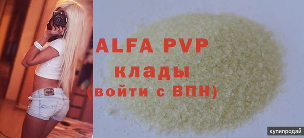 шишки Аркадак