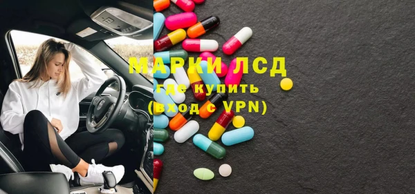индика Сатка