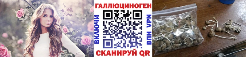 Галлюциногенные грибы Psilocybe  kraken зеркало  Сунжа 