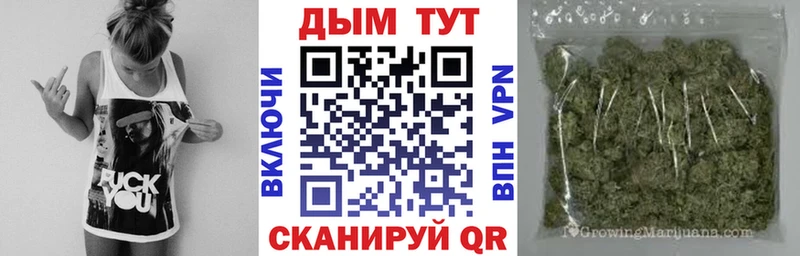 Шишки марихуана THC 21%  ОМГ ОМГ зеркало  Сунжа 